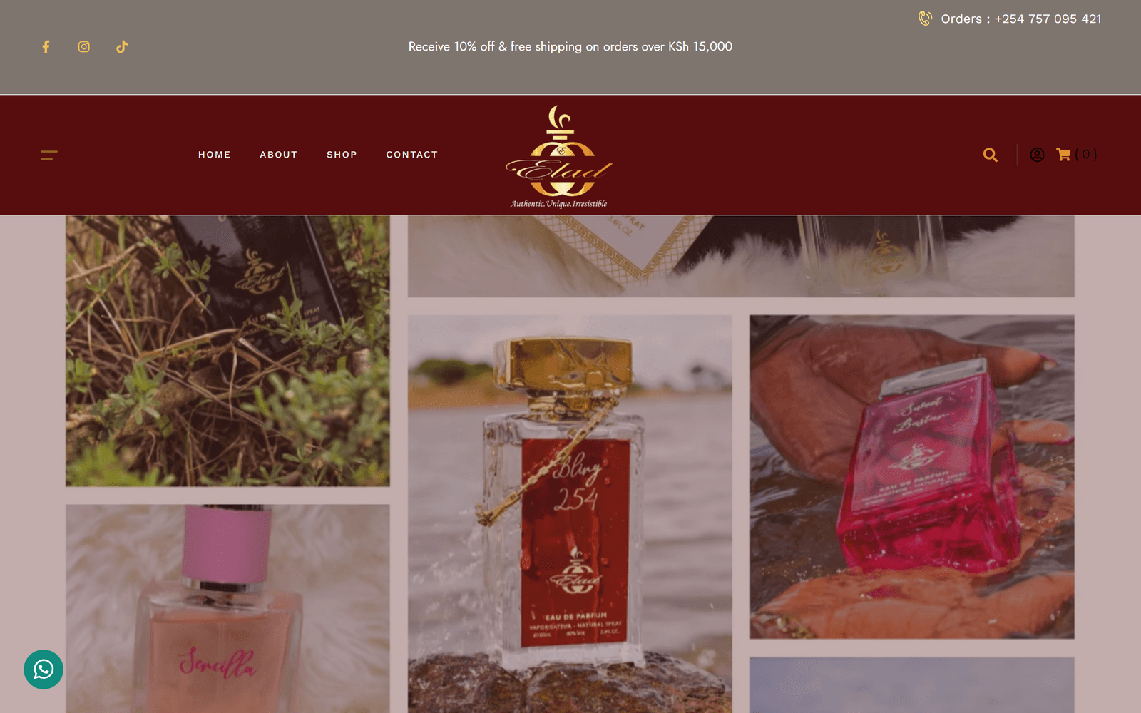 Elad homepage screenshot